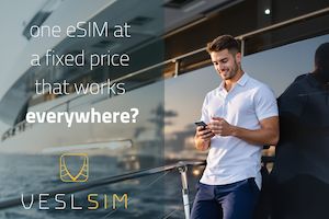 Advert for VeslSim Nov-Dec2 5 Campaign