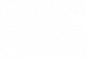 Advert for MTS Yachts 19th November 2025