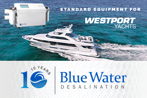 Advert for Blue Water Desalination 5