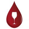 WSET Award in Wines Level 2